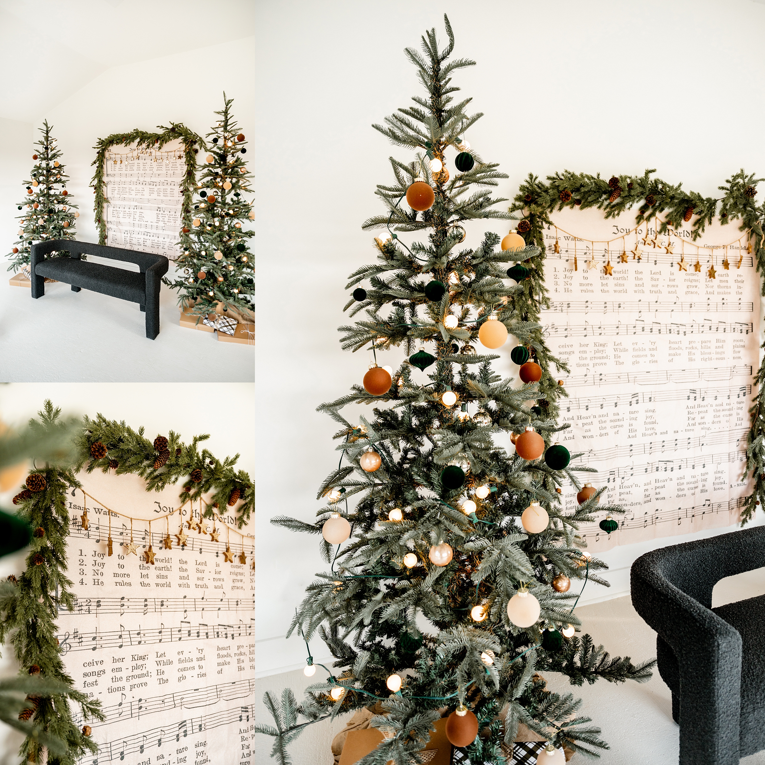 November 14th | Natural Light Studio | Prospect Farms